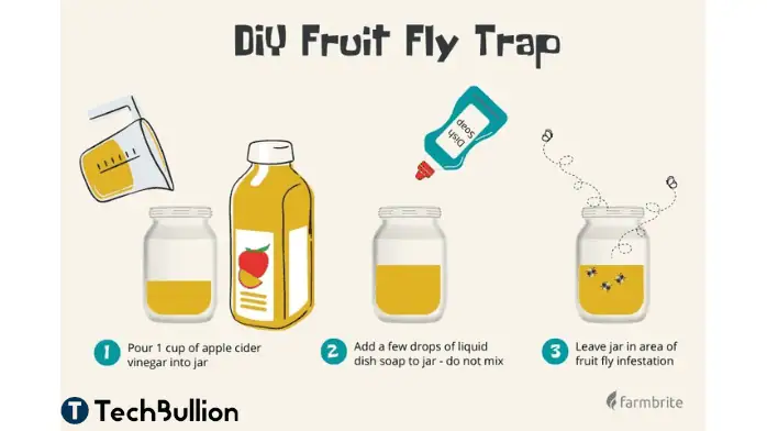 Dish wash trap for fruit fly